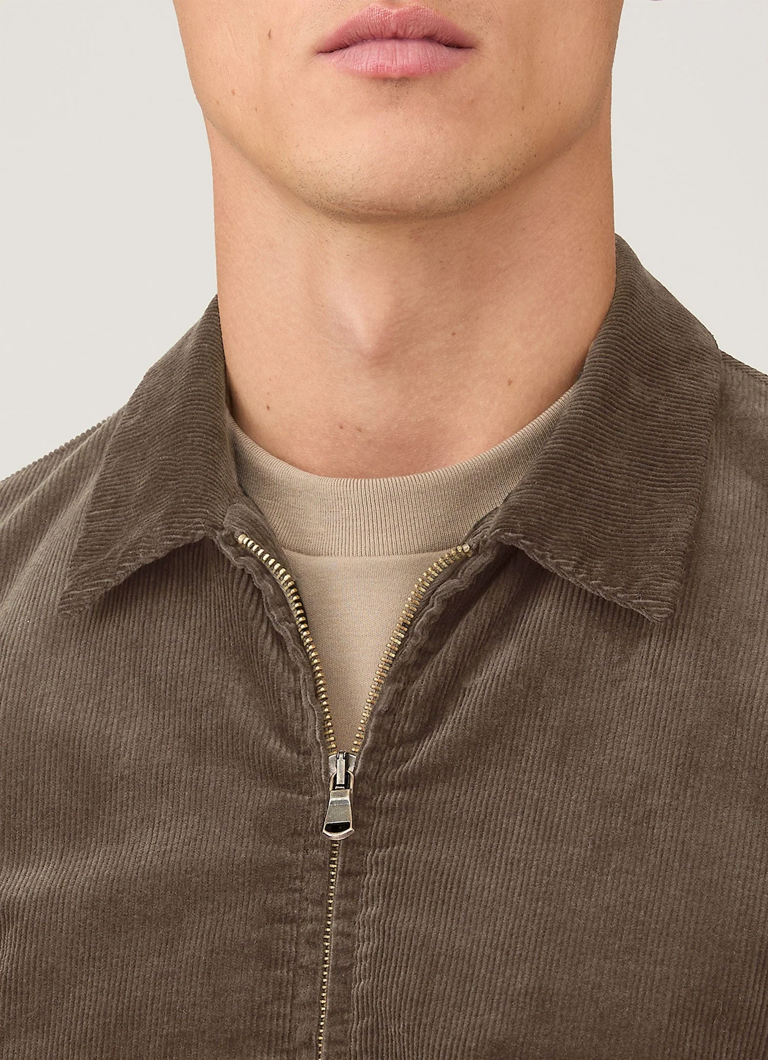 Men's Corduroy Harrington Jacket in Bark - Image 6