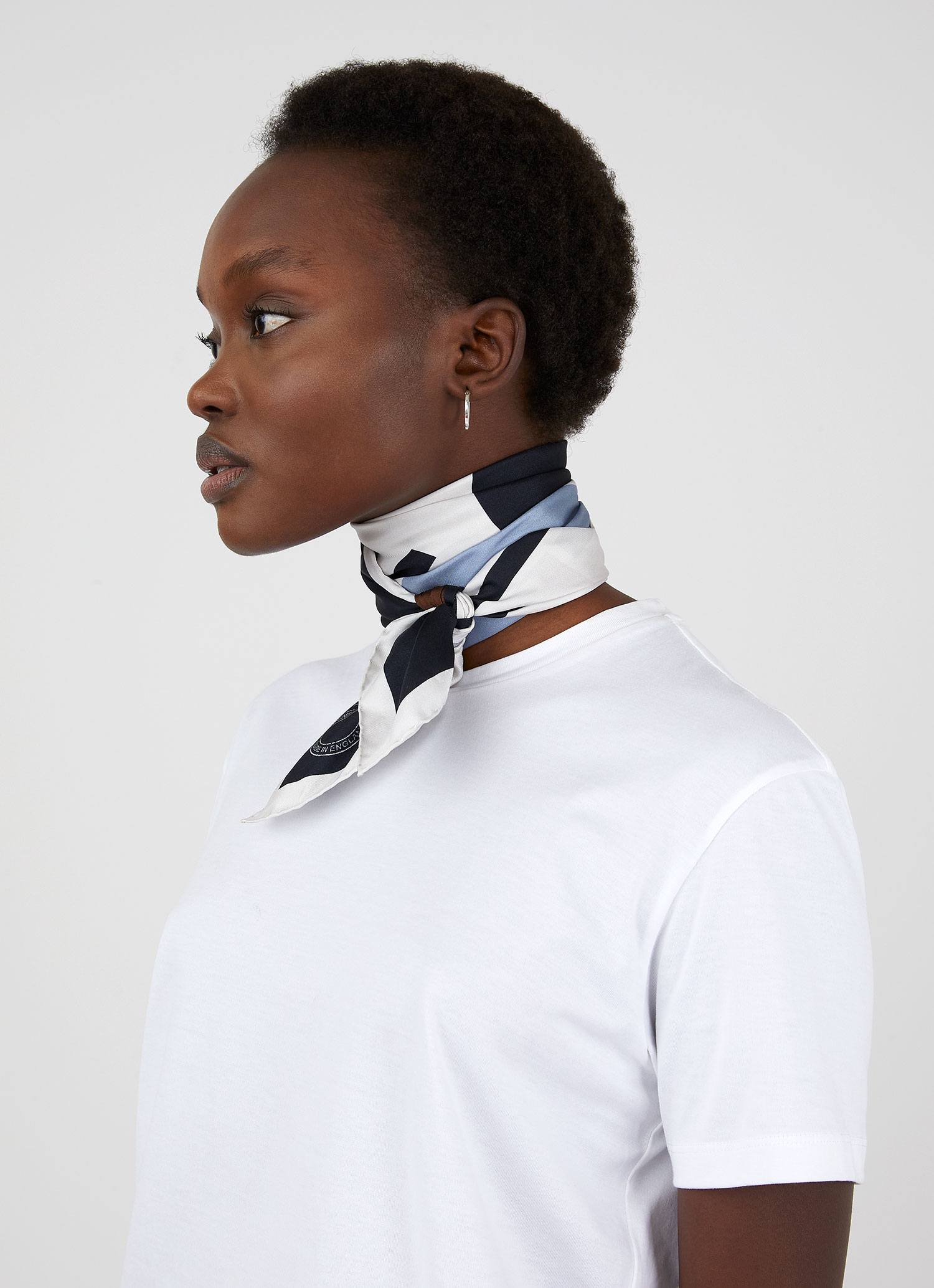 Women's Silk Scarf in Ecru/Mushroom/Navy/Polar Blue - Image 5
